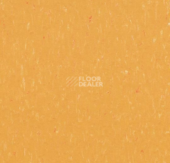 Линолеум Forbo Marmoleum Decibel on Order 362235 mellow yellow фото 1 | FLOORDEALER